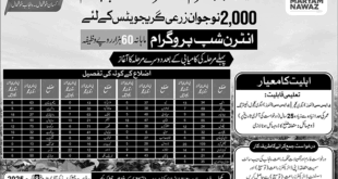 Jobs in Agriculture Department Lahore (Internship)
