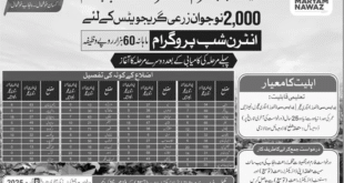Jobs in Agriculture Department Lahore (Internship)
