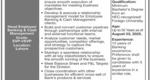Jobs in Bank of Punjab-2