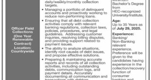 Jobs in Bank of Punjab-3
