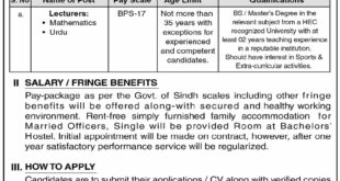 Jobs in Cadet College Petaro Jamshoro