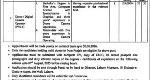 Jobs in Lahore Museum Lahore
