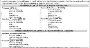 Jobs in Liaqat University Jamshoro