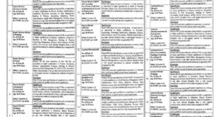 Jobs in Punjab Education, Curriculum, Training & Assessment Authority