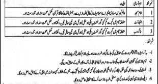 Jobs in Punjab Egineering Academy Lahore