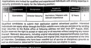 Jobs in Ravi Urban Development Authority Lahore