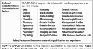 Jobs in The University of Faisalabad