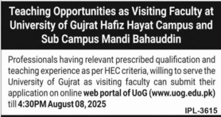 Jobs in University of Gujrat