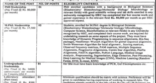Jobs in University of the Punjab Lahore
