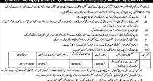 Market Committee Shangla Hills Tender Notice