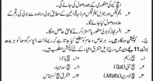 Remont Depo Sargodha Tender Notice