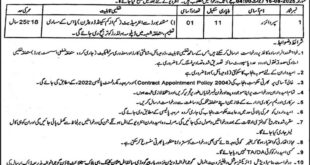 Social Welfare & Bait ul Maal Gujranwala Tender Notice