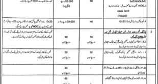 municipal Commitee Mianwali Tender Notice