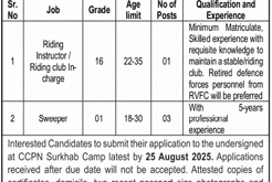 Jobs in Cadet College Pishin