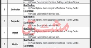 Jobs in Medical Teaching Institution DHQ Hospital D.I.Khan