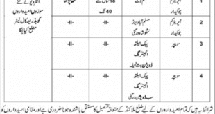 Jobs in Public Health Engineering Division Malakand