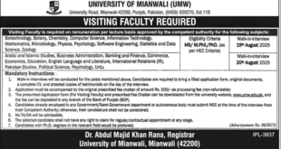 Jobs in University of Mianwali