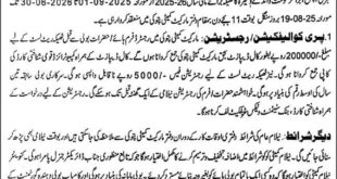 Market Committee Patoki Tender Notice