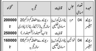 Public Sector Organization Jobs